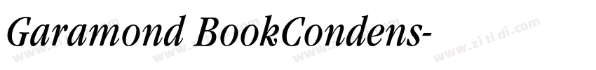 Garamond BookCondens字体转换